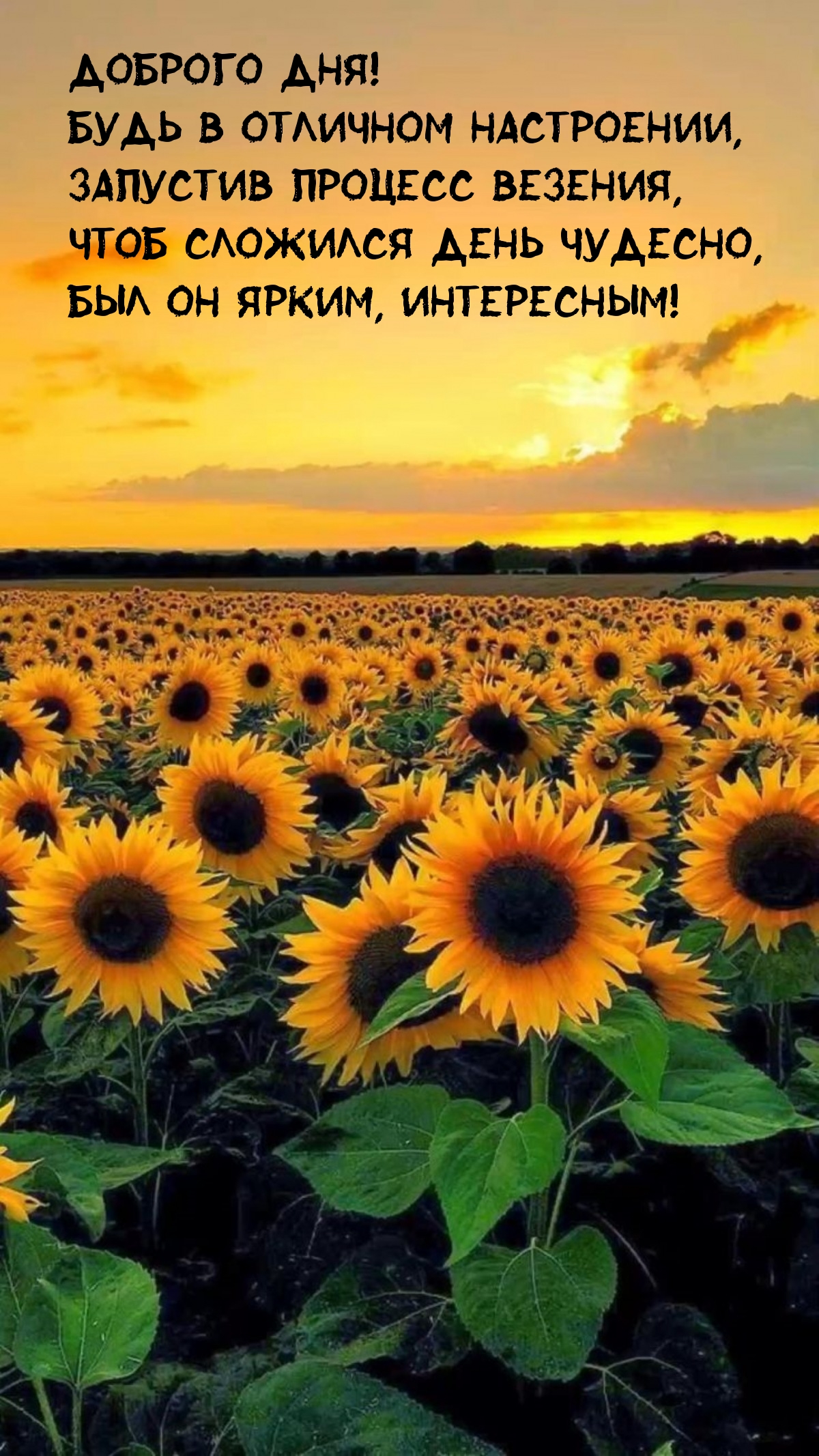 Доброго дня! Будь в отличном настроении