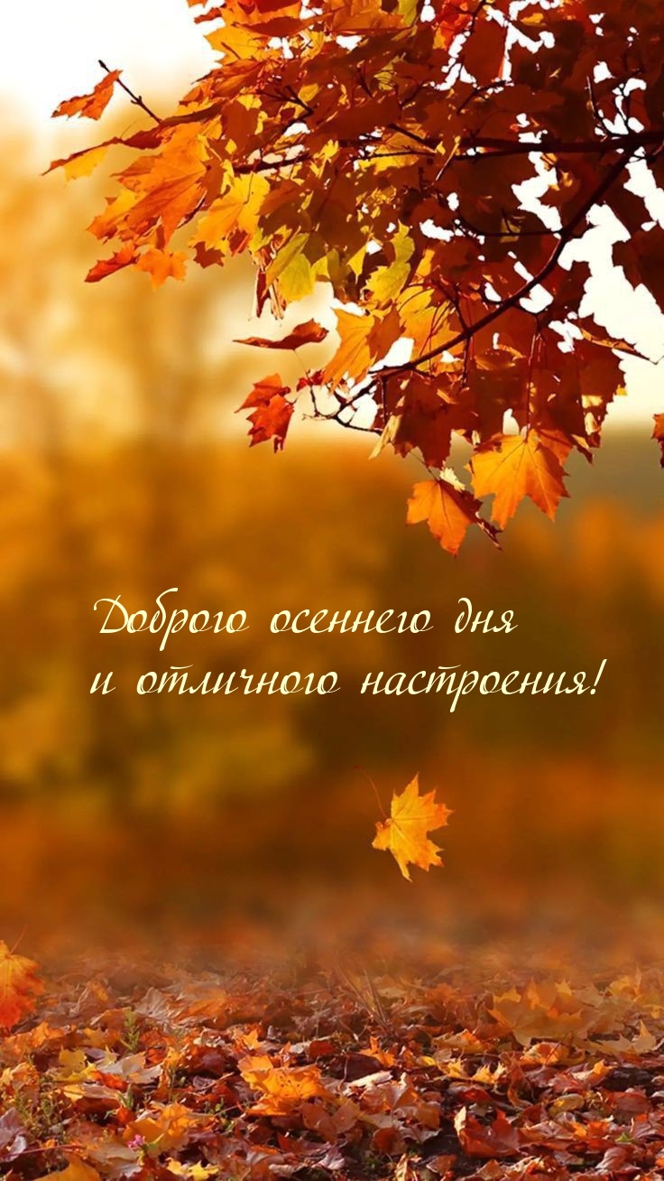 Доброго осеннего дня и отличного настроения!