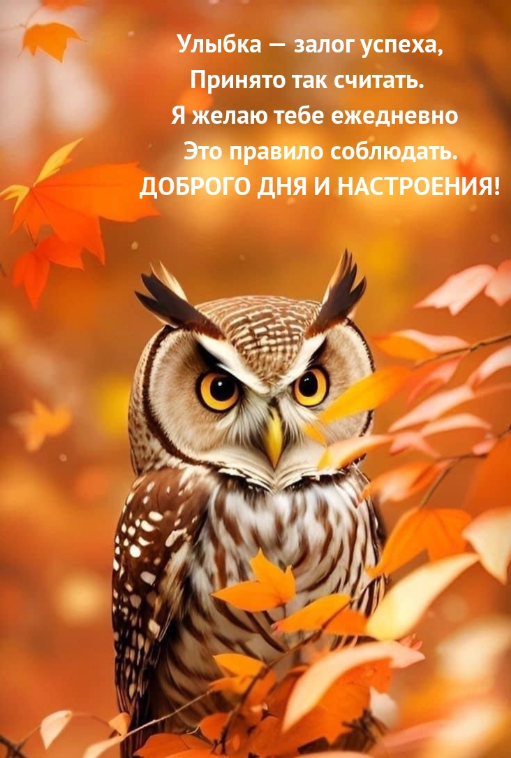 Улыбка — залог успеха, принято так считать. Доброго дня и настроения!