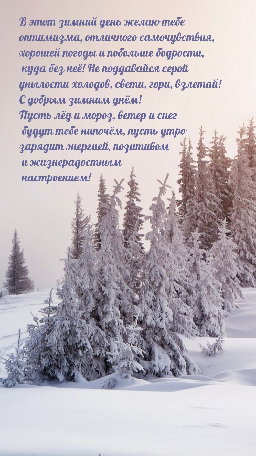 Свети, гори, взлетай! С добрым зимним днём! 