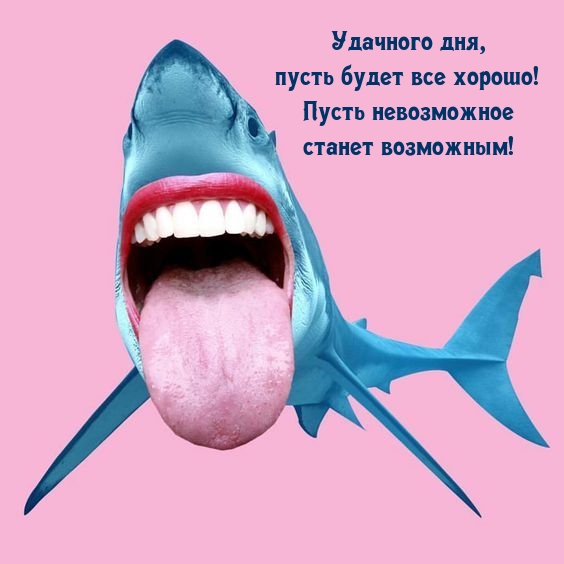 Удачного дня, пусть будет все хорошо! Пусть невозможное станет возможным!