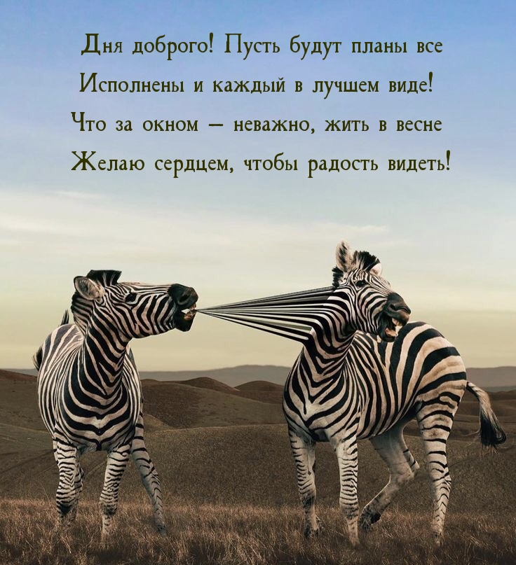 Дня доброго! Пусть будут планы все исполнены и каждый в лучшем виде!