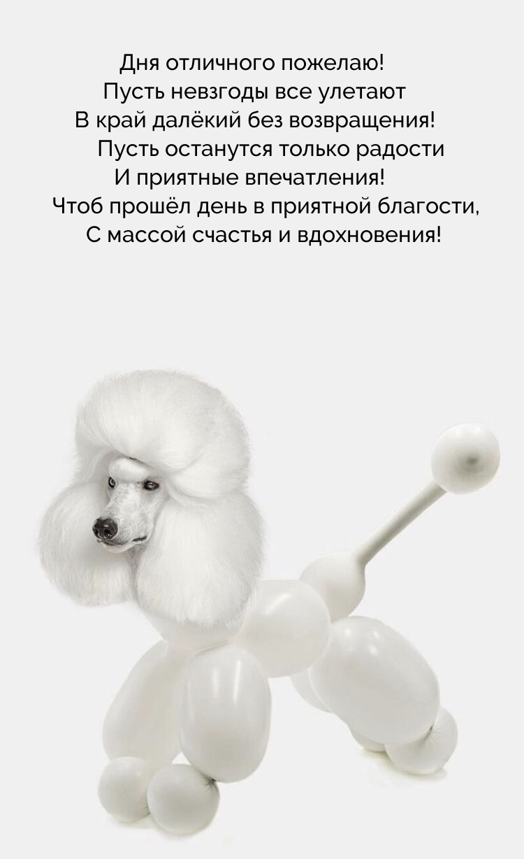 Чтоб прошёл день в приятной благости, с массой счастья и вдохновения!