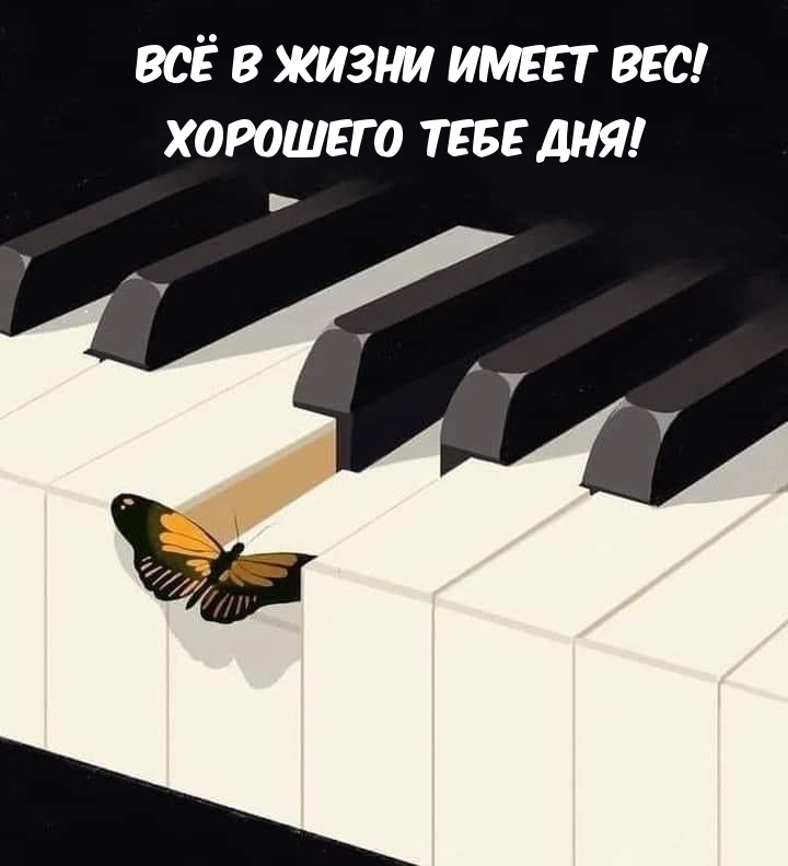 Всё в жизни имеет вес! Хорошего тебе дня!