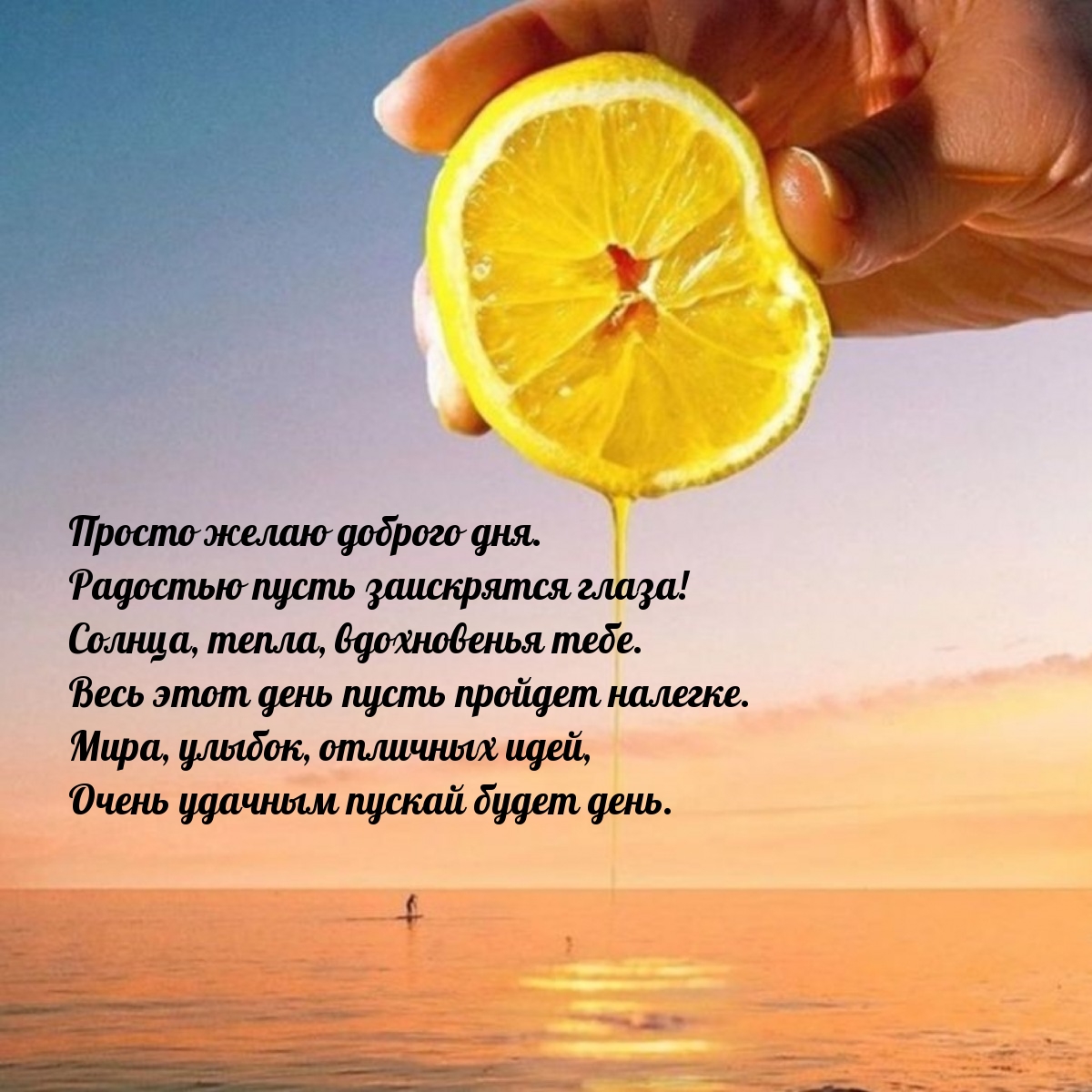 Просто желаю доброго дня. Радостью пусть заискрятся глаза!