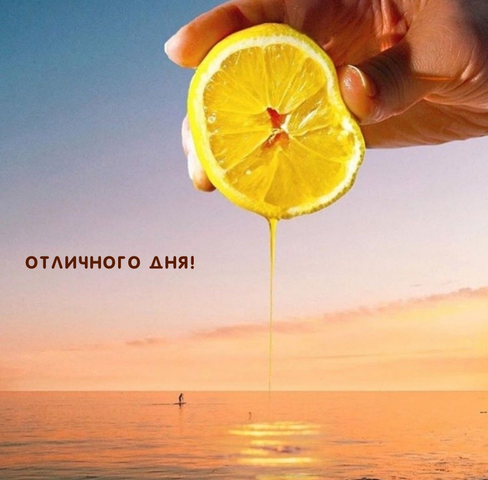 Отличного дня!