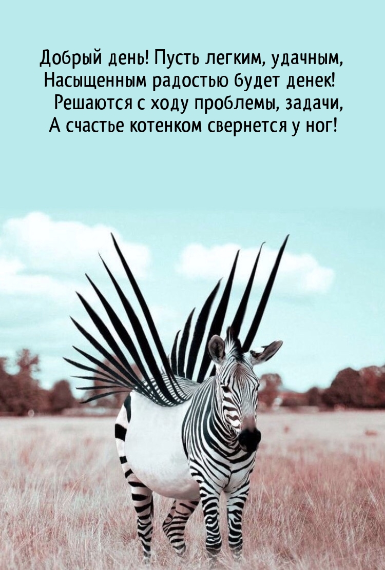 Добрый день! Пусть легким, насыщенным радостью будет денек!