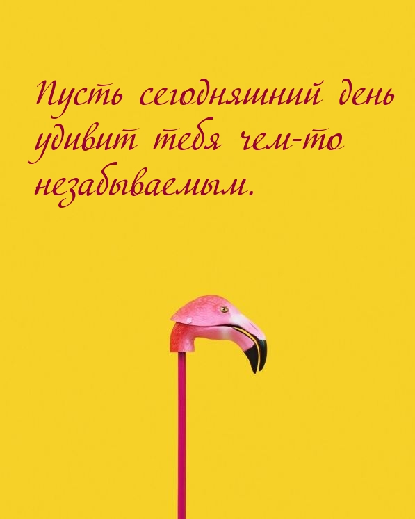 Пусть сегодняшний день удивит тебя чем-то незабываемым.