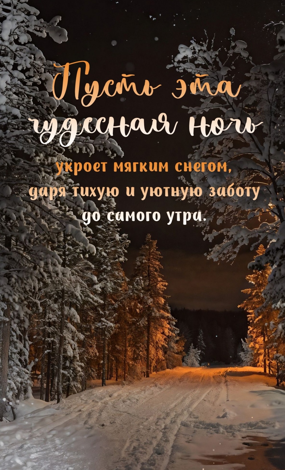 Пусть чудесная ночь укроет мягким снегом