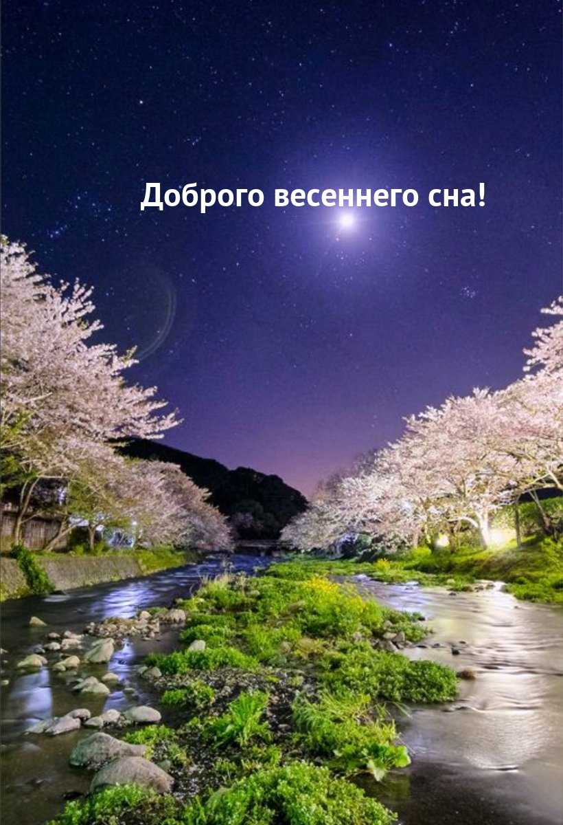 Ночь весны картинки красивые. Спокойной весенней ночи. Доброй весенней ночи. Прекрасной весенней ночи.