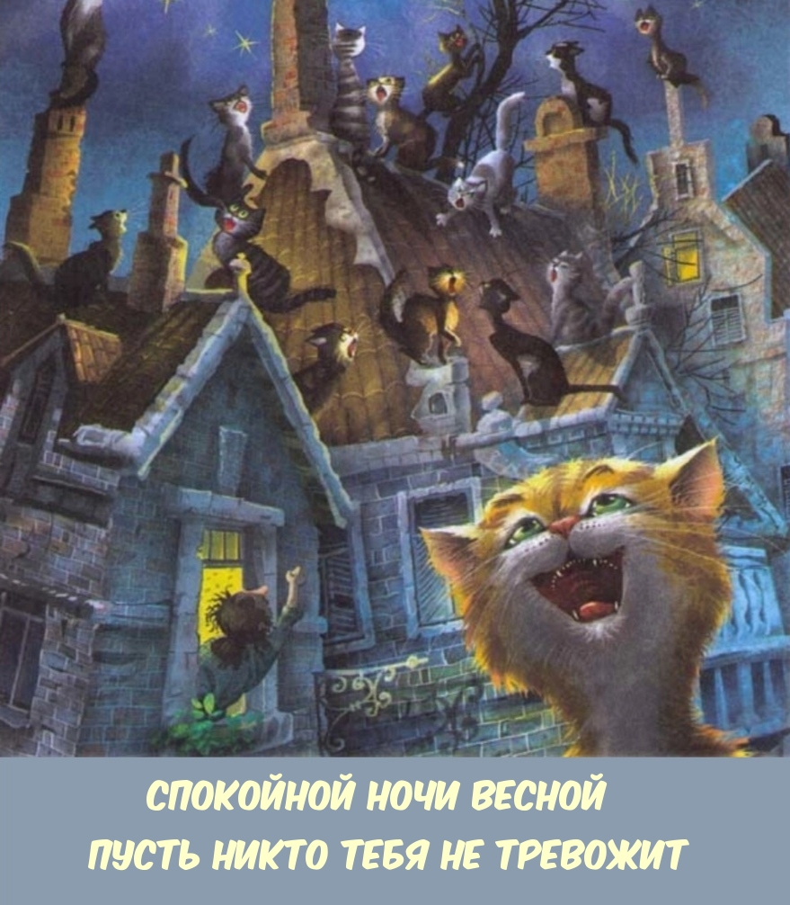 Где весело ночью. Кот на крыше. Сказочный кот. Сказочная ночь. Коты на крыше ночью.