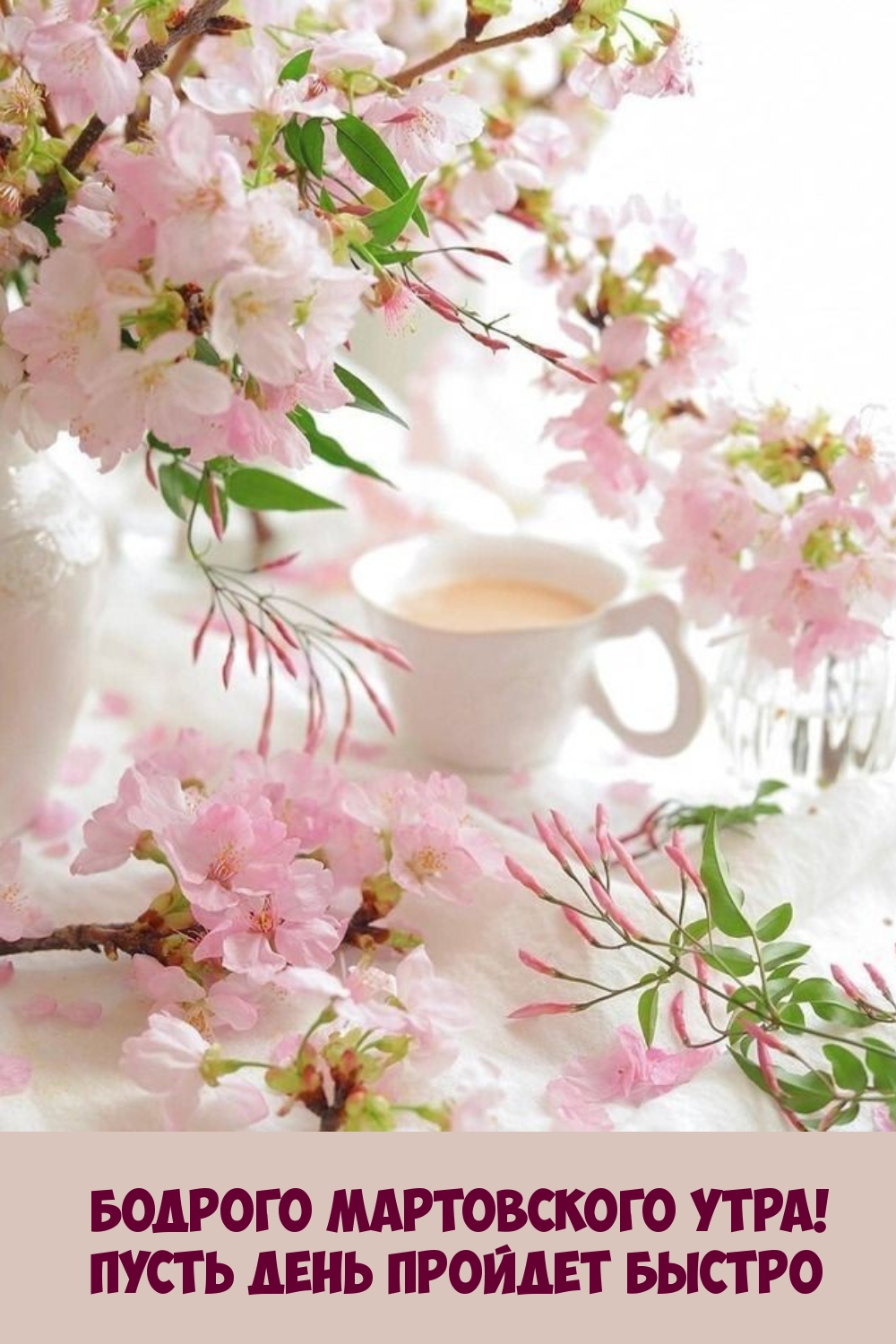 Картинки с добрым утром с цветами весной. Утренние цветы. Открытки с добрым утром весенние. Доброе Весеннее утро.